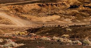 《女巨人游乐场》更新：新增对话系统与全新HUD界面！